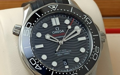 Omega - Diver 300M Co -Axial Master Chronometer - 210.32.42.20.01.001 - Men - 2011-present