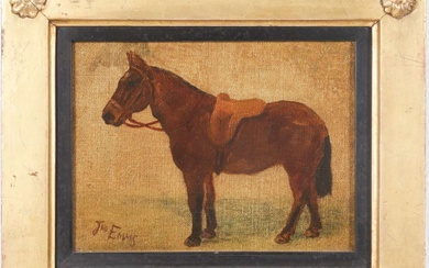 Onbekende Kunstenaar (20e eeuw), Studie van een ezel