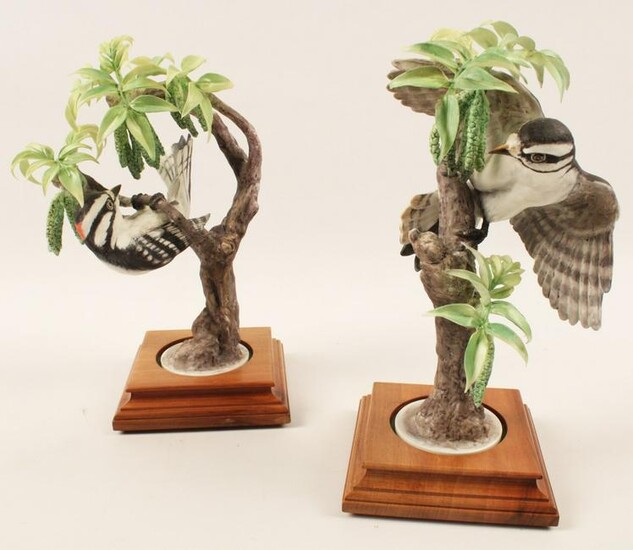 PR OF LITTLE DOWNY WOODPECKERS MODELS BY DOROTHY
