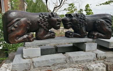 Pair of lying lions - Gothic Style - Oak, Wood - 19th century
