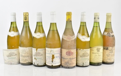 Réunion de 16 bouteilles de Blanc de Bourgogne... - Lot 241 - Alexandre Landre Beaune