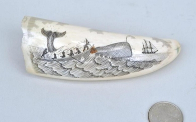 Scrimshaw Whale's Tooth - Whaling Scene