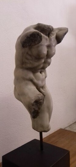 Sculpture, torso - Marble - Early 20th century