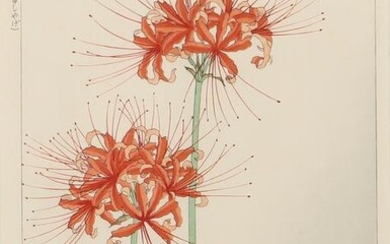 Shodo Kawarazaki, Spider Lily, woodblock print