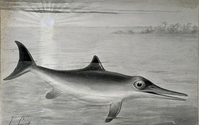 Smit Original Early Drawing of a Triassic Icthyosaur