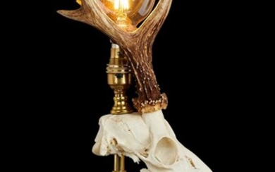 TAXIDERMY:A ROE DEER SKULL LAMP