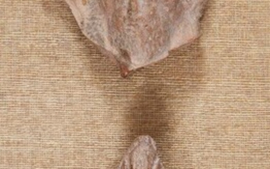 Two Greek terracotta hollow-backed relief fragments, each of a bearded male banqueteer wearing tall palmette headdress with frontal rosette, circa 4th Century B.C., 12cm high and 8.7cm high (2) Provenance: The Estate of costume designer Anthony...