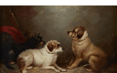 GEORGE ARMFIELD (british b.c.1808?1893) "TERRIERS IN A STABLE" Signed...