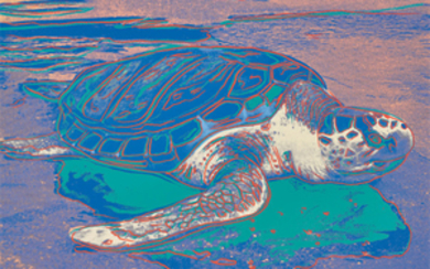 Andy Warhol, Turtle