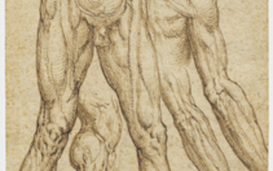 Aurelio Luini (Luino circa 1530-1593 Milan), Studies of legs, lower torsos, arms and a shoulder (recto); Faint study of a torso and legs (verso)