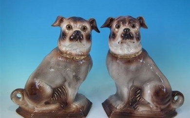 Pair Staffordshire Pugs with glass eyes