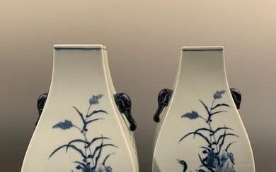 A Pair Blue and White Vase with Ducks