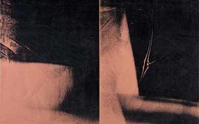 Andy Warhol, Shadow (Double)