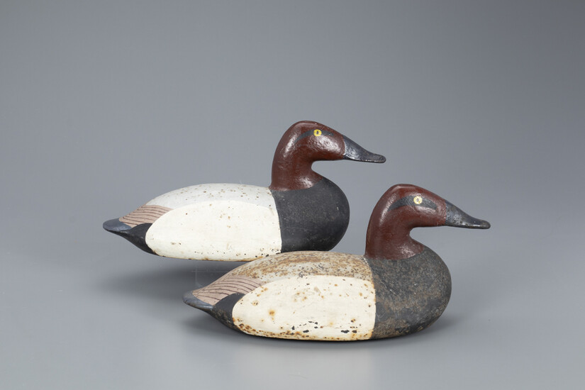 Cast Iron Canvasback Wing Duck Pair