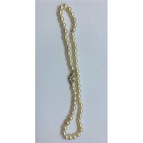 Cultured Pearl Necklace with 9ct gold clasp