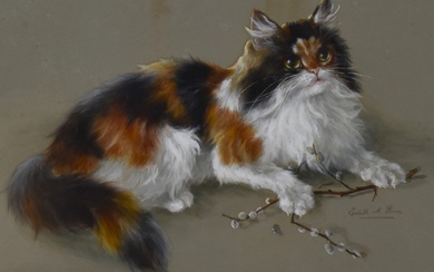 Edith A. Penn (20th Century, British), watercolour and gouache, A calico cat portrait, framed and