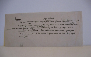 Harvey Cushing's Autograph Caption for Figure 22 (on p. 53) in his book Papers Relating to the Pituitary Body, Hypothalamus, and Parasympathetic Nervous System (1932). OFFERED WITH: Original Ink and Wash Drawing by Mildred Codding for figure 22.