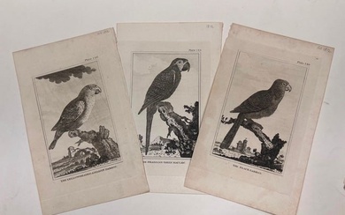 Ornithological Etchings by George Louis Le Clerc, Count de Buffon (1707-1788)