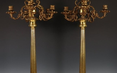 Pair of bronze/metallic six-light candelabra in eclectic style,...