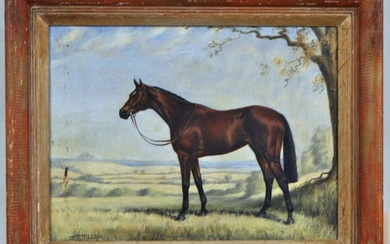 Portrait of Racehorse "Musidora" O/C