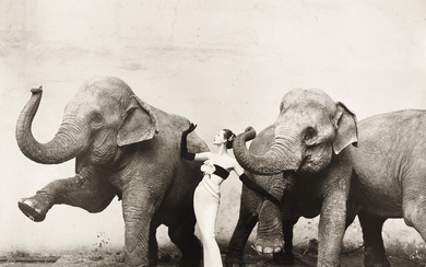 RICHARD AVEDON (1923–2004) Dovima with Elephants, 1955