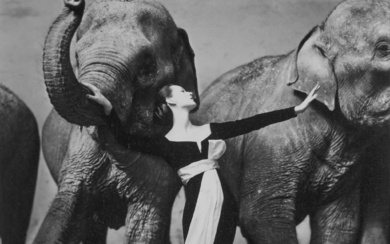 Richard Avedon Dovima with elephants, Evening dress by Dior, Cirque d'Hiver, Paris, August 1955