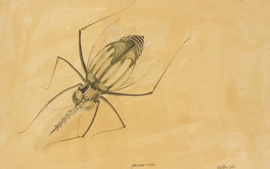 SPIES Walter (Moscou 1895-vers Ceylan 1942) Etude d'insecte : "Pharassa maleo" Dessin à l'encre de...
