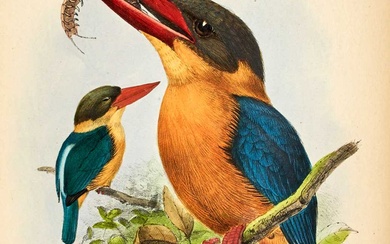 Sharpe's beautifully illustrated monograph of Kingfishers