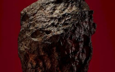 THE RED COLOSSUS MARTIAN METEORITE