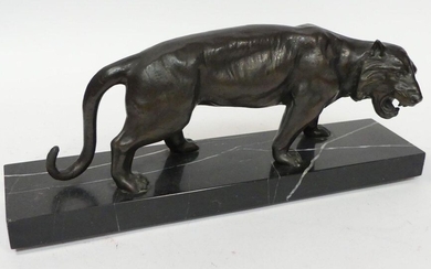 TIGER in ruler, black marble terrace (small chips). 14 x 37 cm.