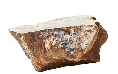 TRONCO fossile adibito a base da tavolo da salotto