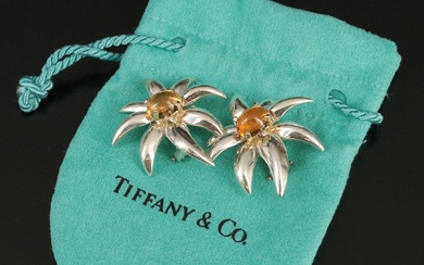 Tiffany & Co. "Fireworks" Sterling and 18K Clip Earrings