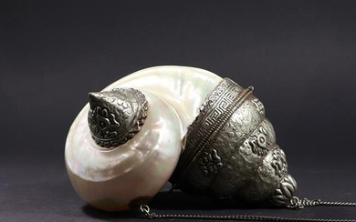 Unique Silver and Nautilus Conch Shell Purse