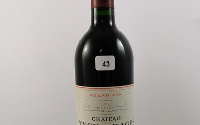 1 btl Château Lynch Bages 1989 - Pauillac