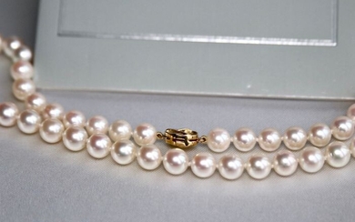 14 kt. Yellow gold - Necklace Pearls - Akoya saltwater round selected pearls from Japanese sea Ø 7.4mm - "AAA" excellent - new
