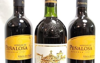 1990 Tinto Pesquera, Gran Reserva & 2001 Bodegas Pascual, Heredad de Peñalosa, Reserva x2 - Ribera del Duero - 3 Bottles (0.75L)