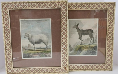 2 Hand Colored French Engravings