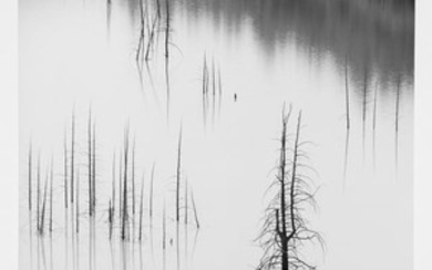 ADAMS, ANSEL (1902-1984) Trees, Slide Lake, Grand Teton National Park, Wyoming