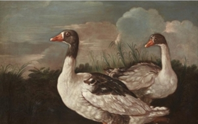 CENTRAL ITALIAN SCHOOL (17th century) "TWO PROUD GEESE" Oil...