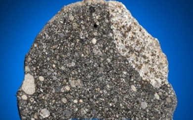 ONE OF EARTH'S MOST RECENT ARRIVALS — A COMPLETE SLICE OF ABA PANU, Oyo, Nigeria 8°16’55.83"N, 3°34’1.72"E Chondrite / L3.6