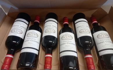 6 bouteilles de Château Cadet-Cuypers 2020 Médoc Vignobles Reich propriétaire récoltant Tirage limité