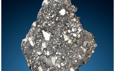 NWA 8306 Lunar Meteorite Slice Lunar (feldspathic, regolithic...