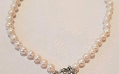9x10mm Lustrous Freshwater Pearls - Necklace