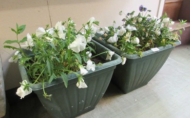A pair of green PVC green planters with plantsCondition Report...