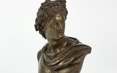 A patinated bronze bust of Apollo Belvedere