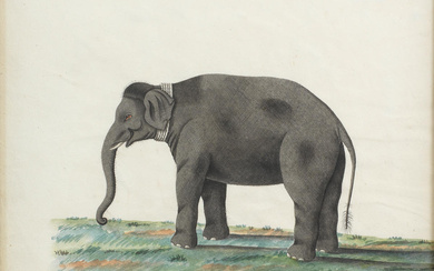 An elephant in a landscape Calcutta, second half of the...