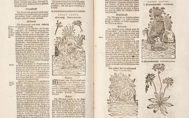 [BOTANICA] - ZWINGER, Theodor. Theatrum Botanicum. Das ist: Neu Vollkommenes Kräuter-Buch / Worinnen Allerhand Erdgewächse. Basilea: Jacob Bertsche, 1696. Folio…