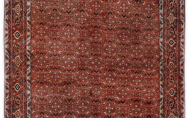 Bidjar - Carpet - 265 cm - 157 cm