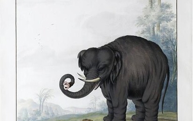 Bronckhorst Watercolor of an Elephant and Lion