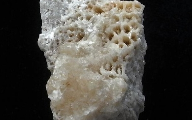 CALCITE PSM CORAL - NEW DISCOVERY